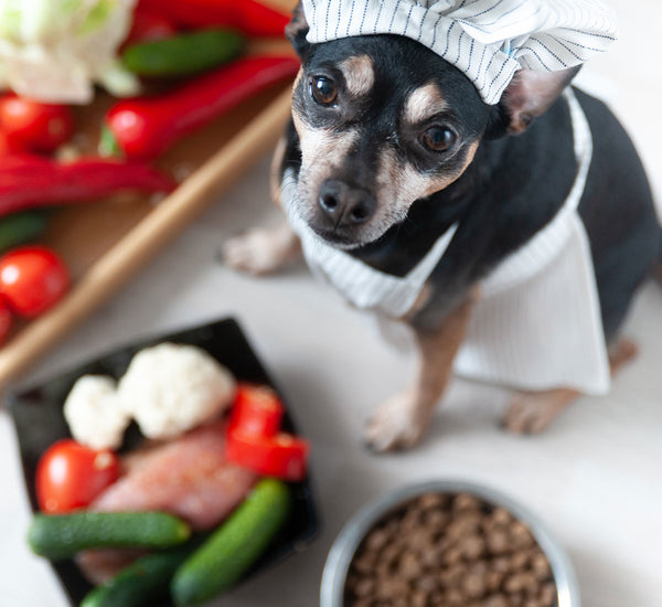 Plan 2: Weight-Loss Plan (Commercial Diet)