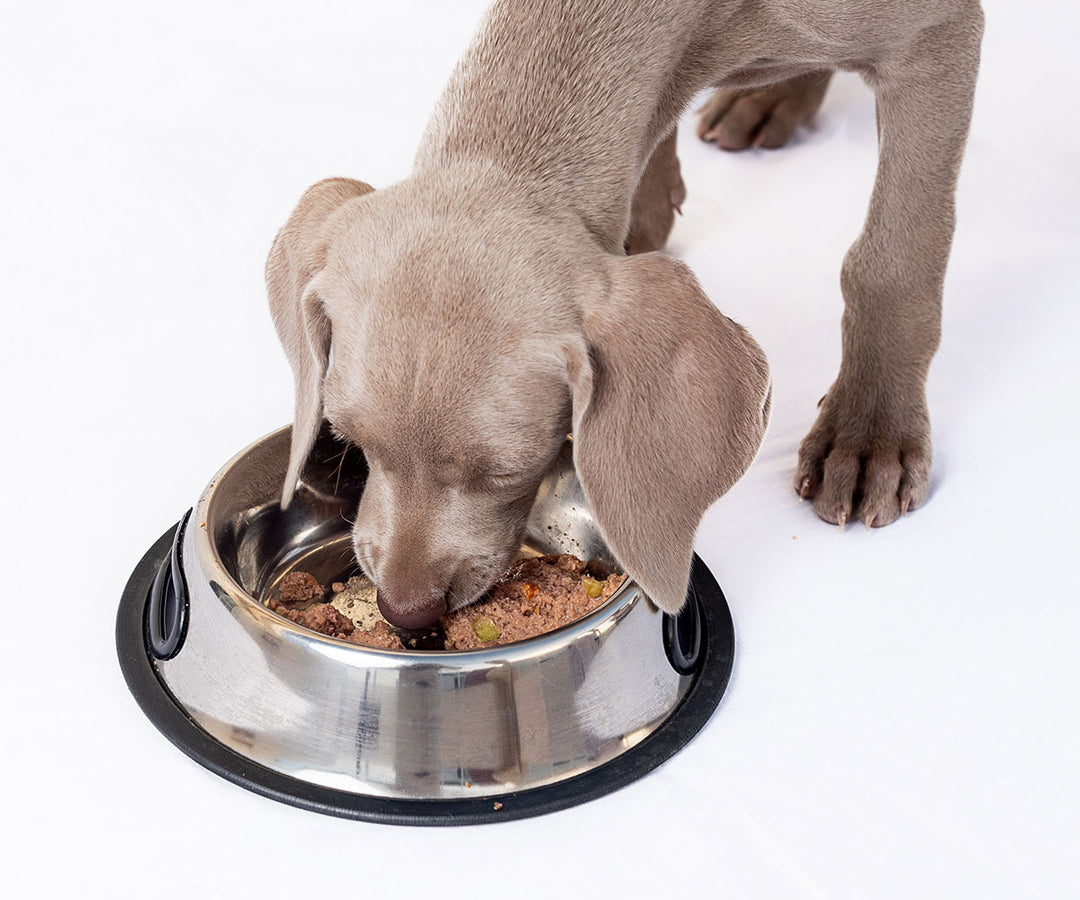 Plan 1: Personalized Nutrition Report